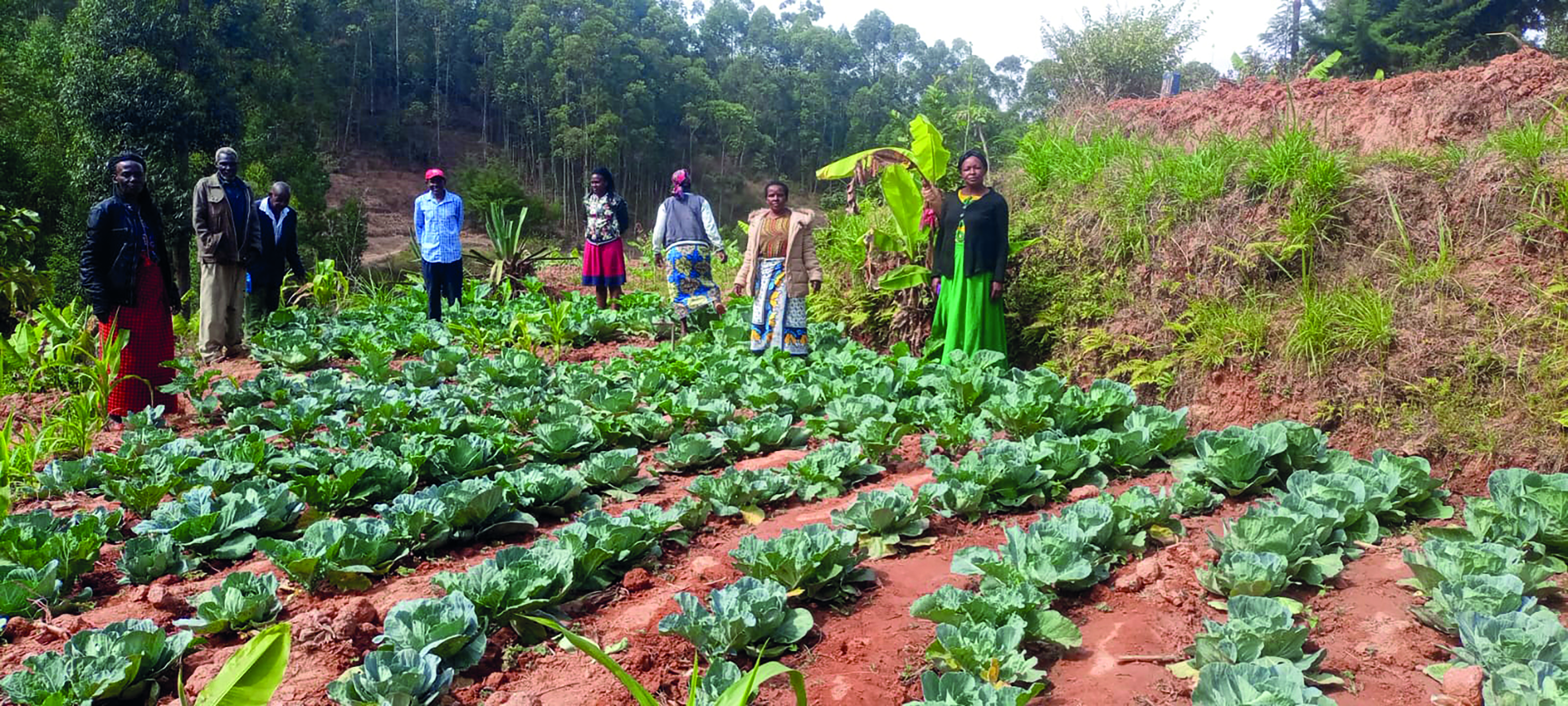 A field in Kenya
