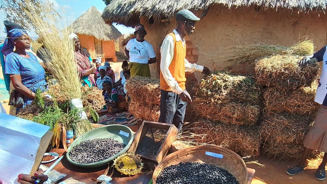 A man gives a talk with examples of different crops
