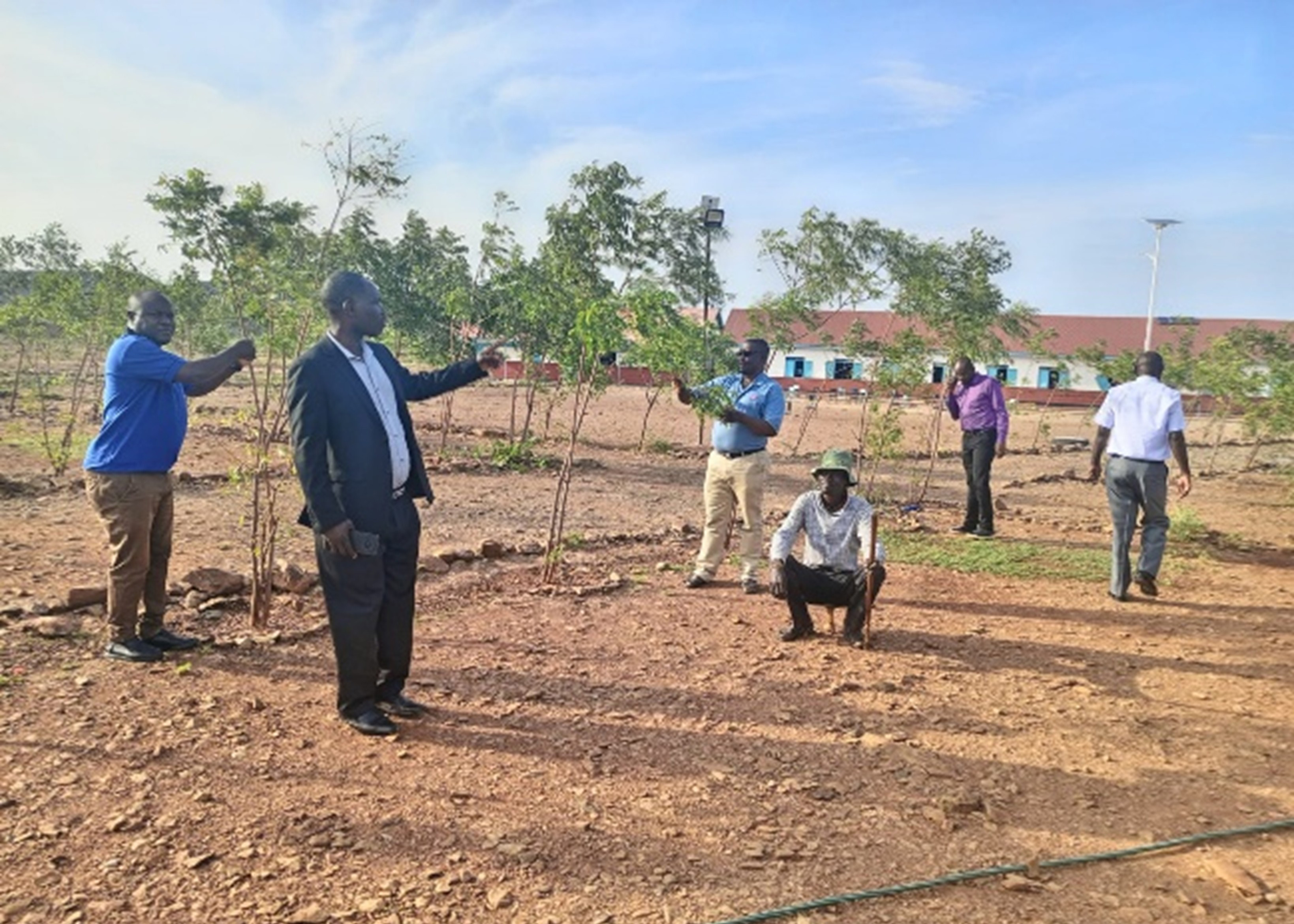 Inspecting neem trees