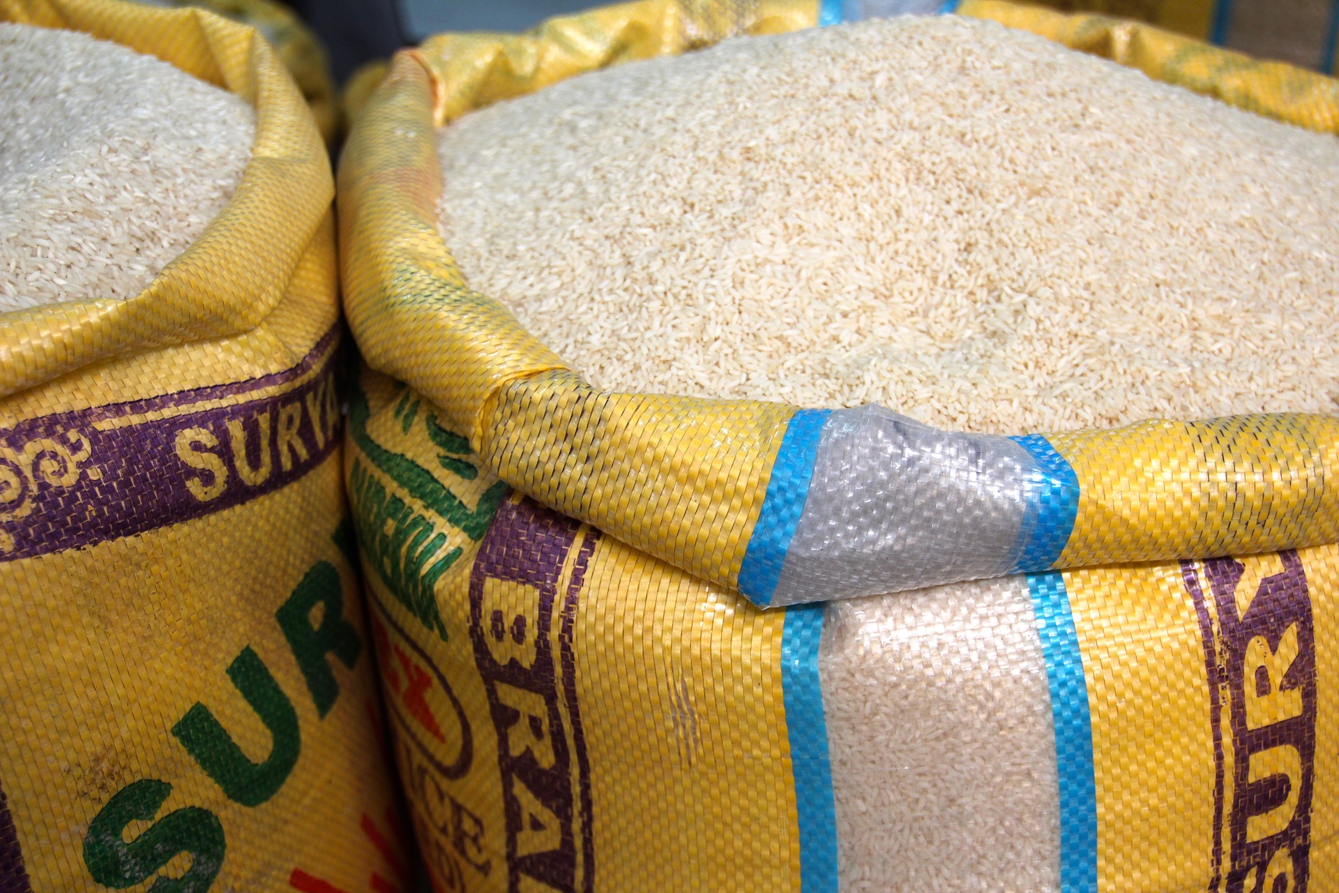 Rice