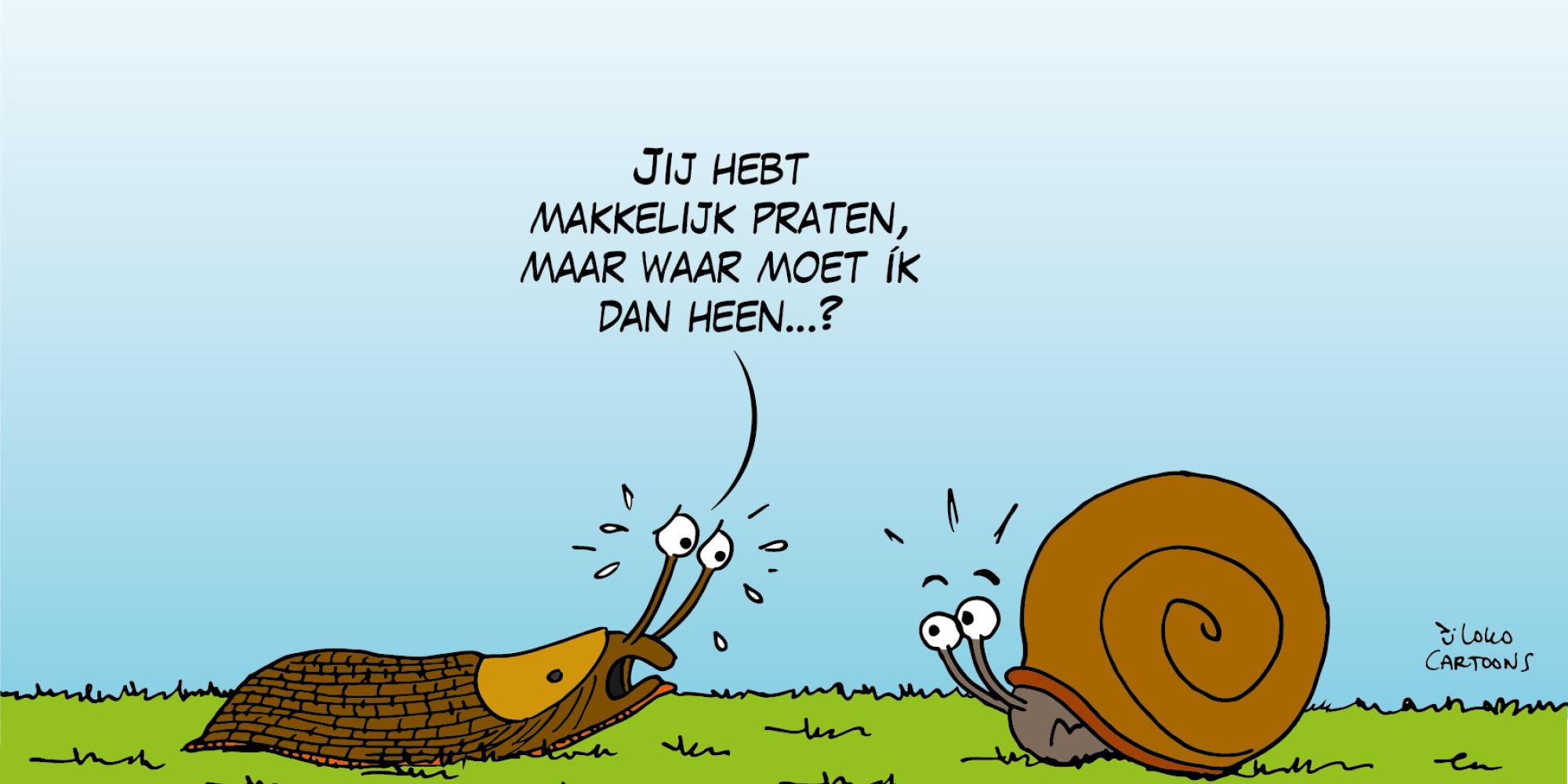 Loko cartoon