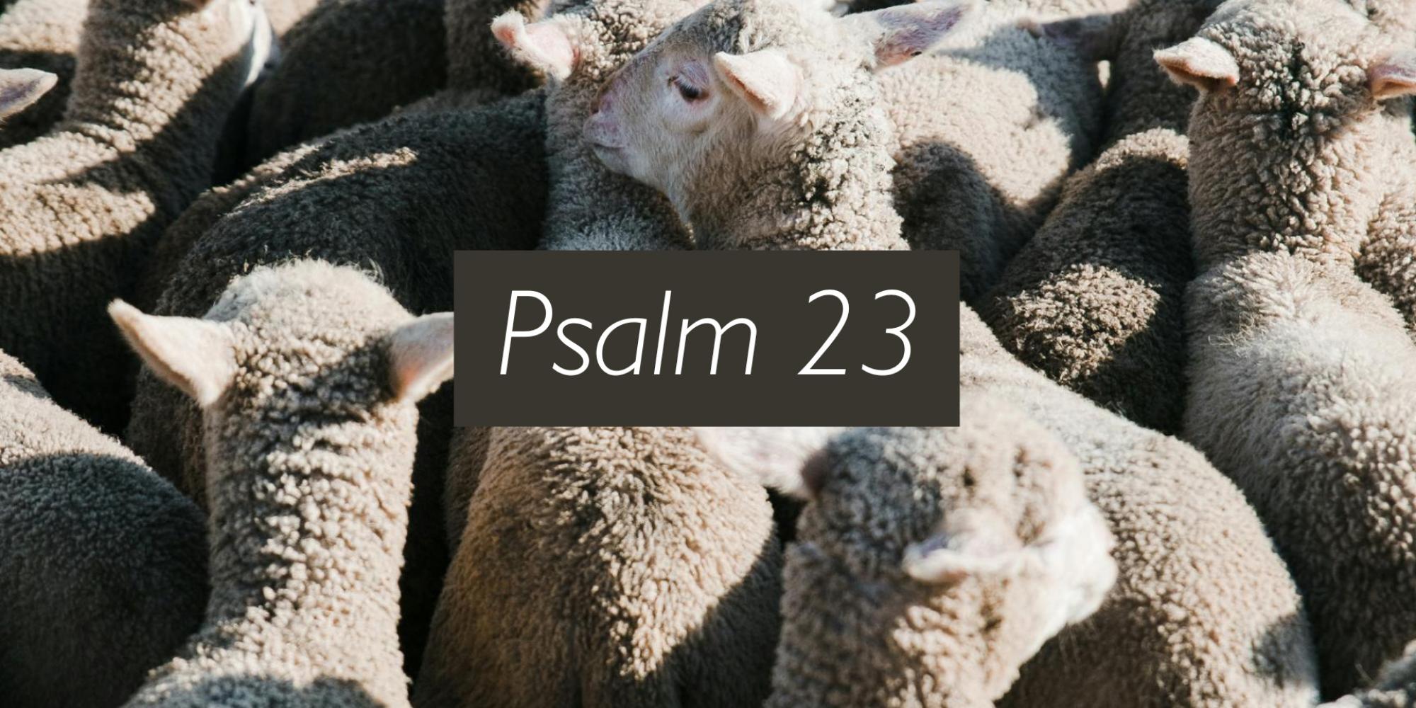 Psalm 23