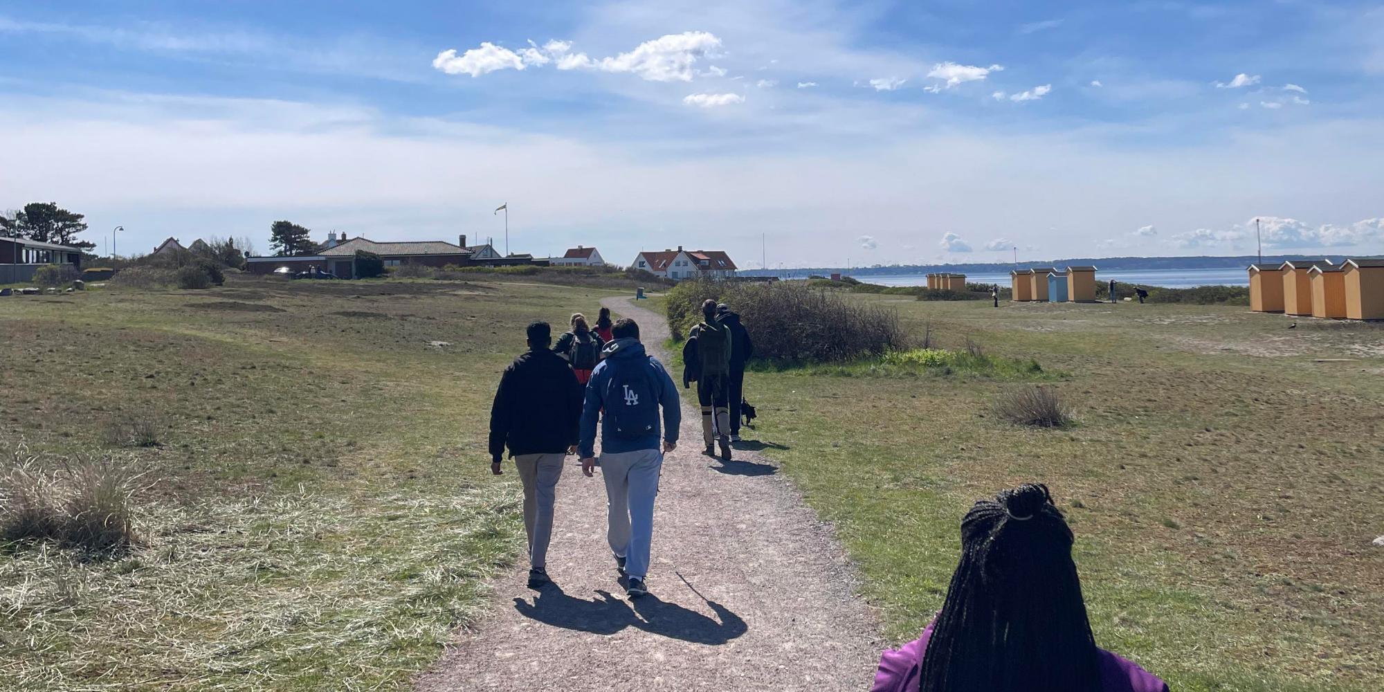 A group hike along a sunny road