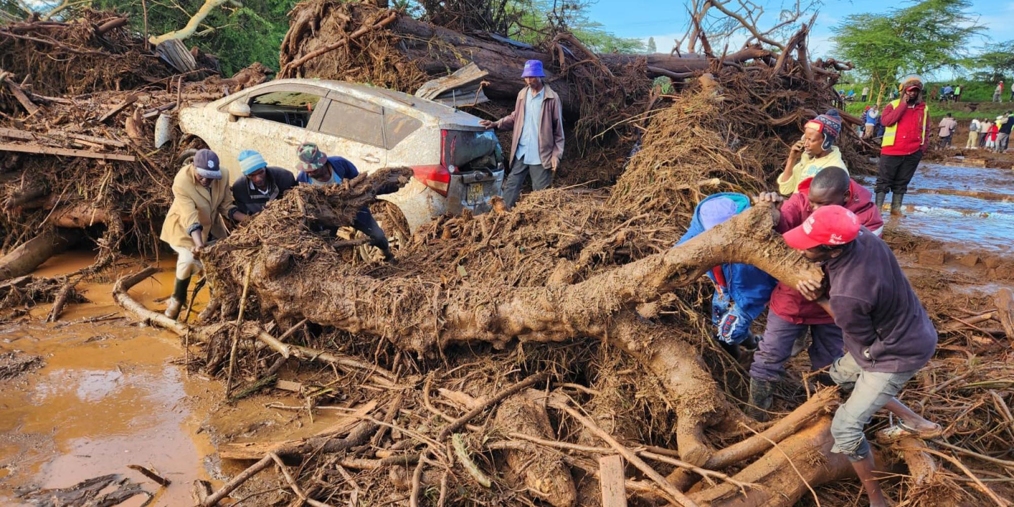 People move tree branches which have been washed up by flood waters