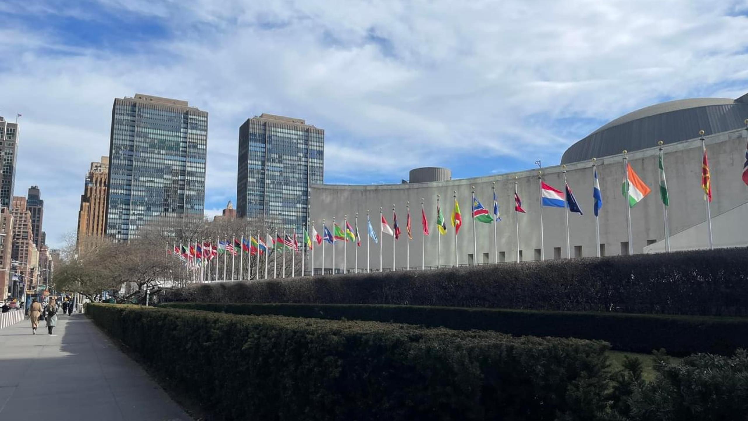 UN flags