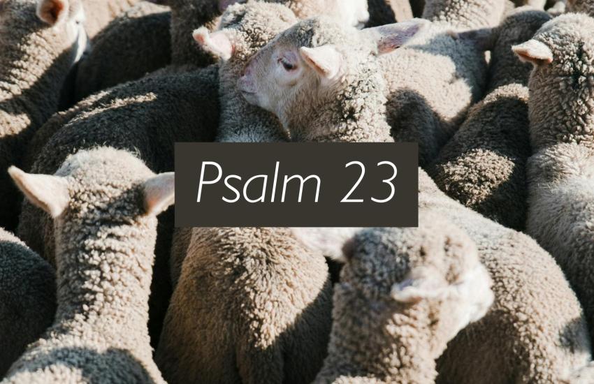 Psalm 23
