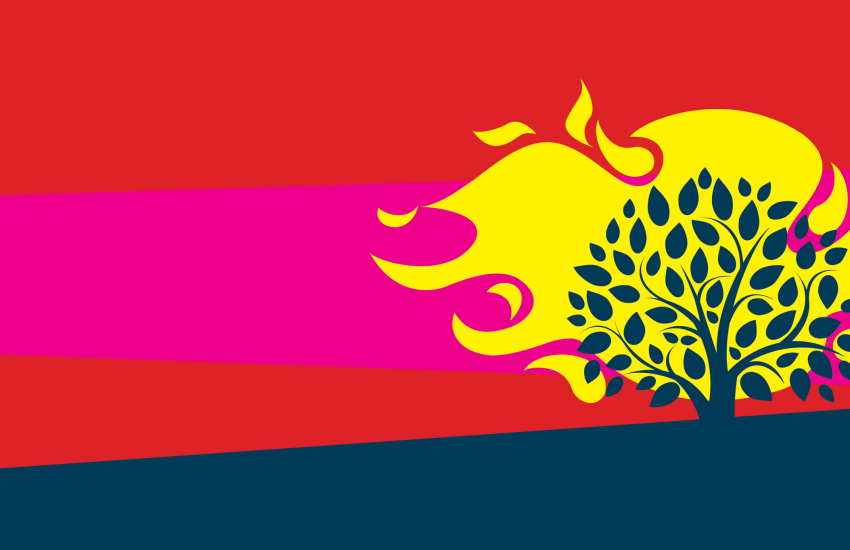 A burning bush