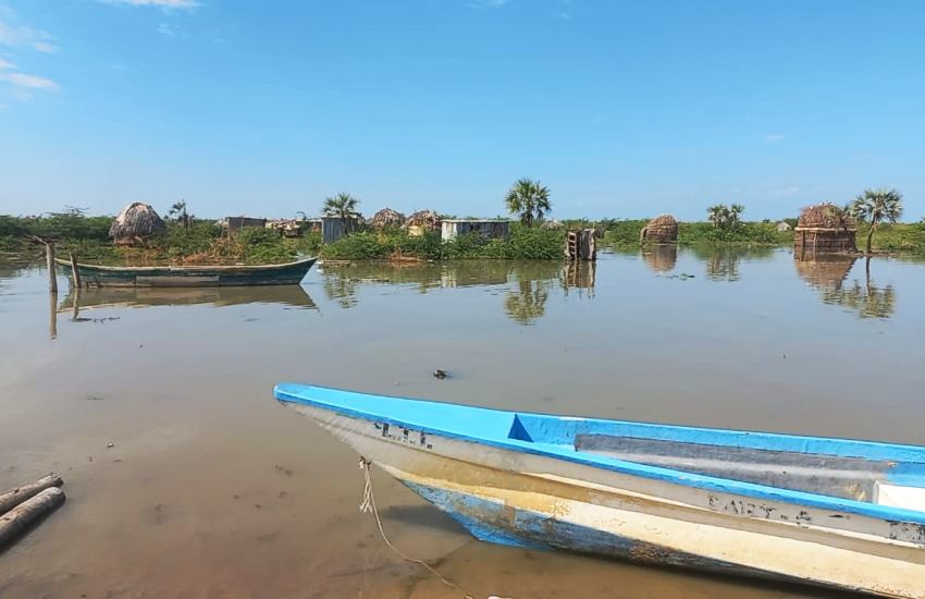 A flooded landscape
