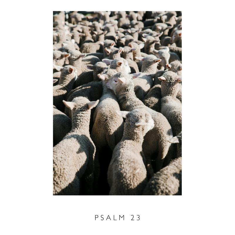 Psalm 23