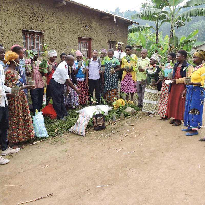 A group of farmers receive tree seedlings