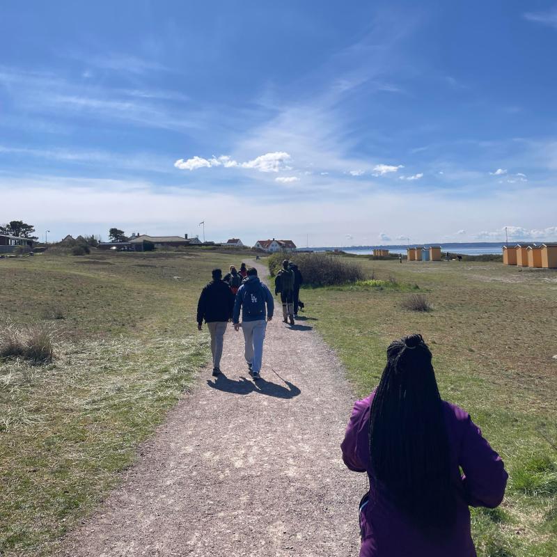 A group hike along a sunny road