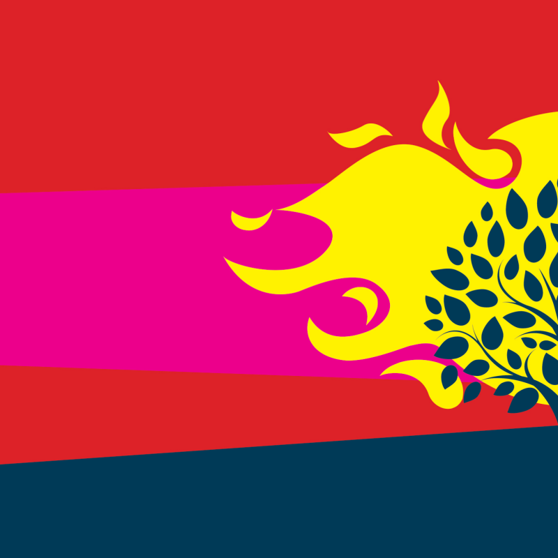 A burning bush