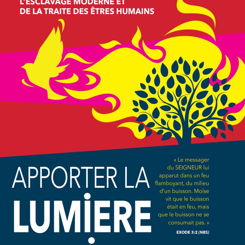 Apporter la Lumiere a la Vie