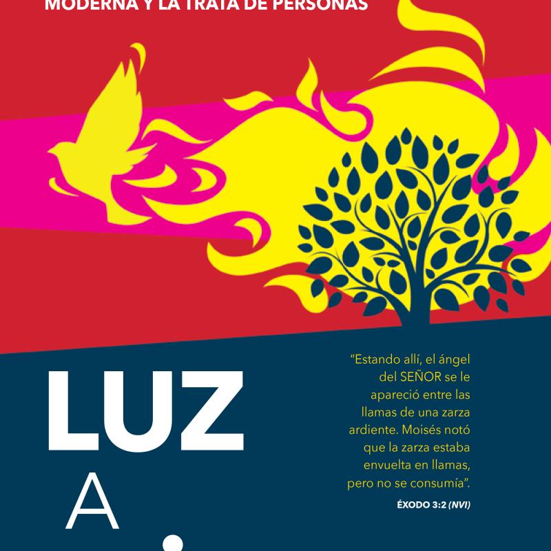 Luz a Vida