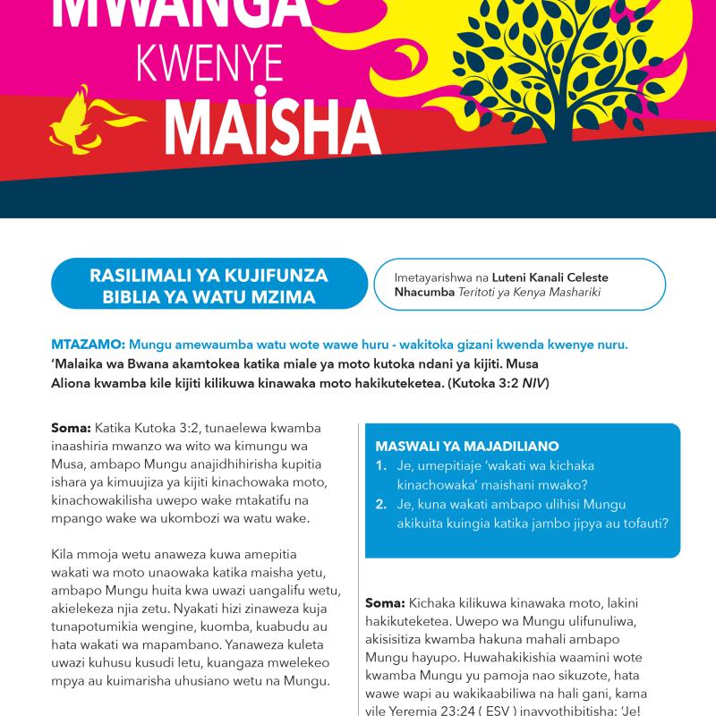 Mwanga Kwenye Maisha - Rasilimali ya kujifunza biblia ya watu mzima