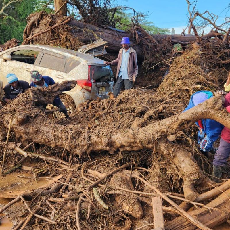 People move tree branches which have been washed up by flood waters