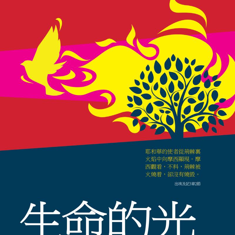生命的光