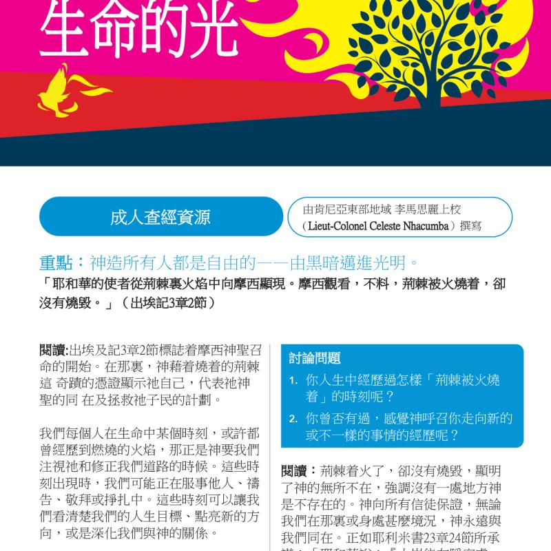 成人查經資源