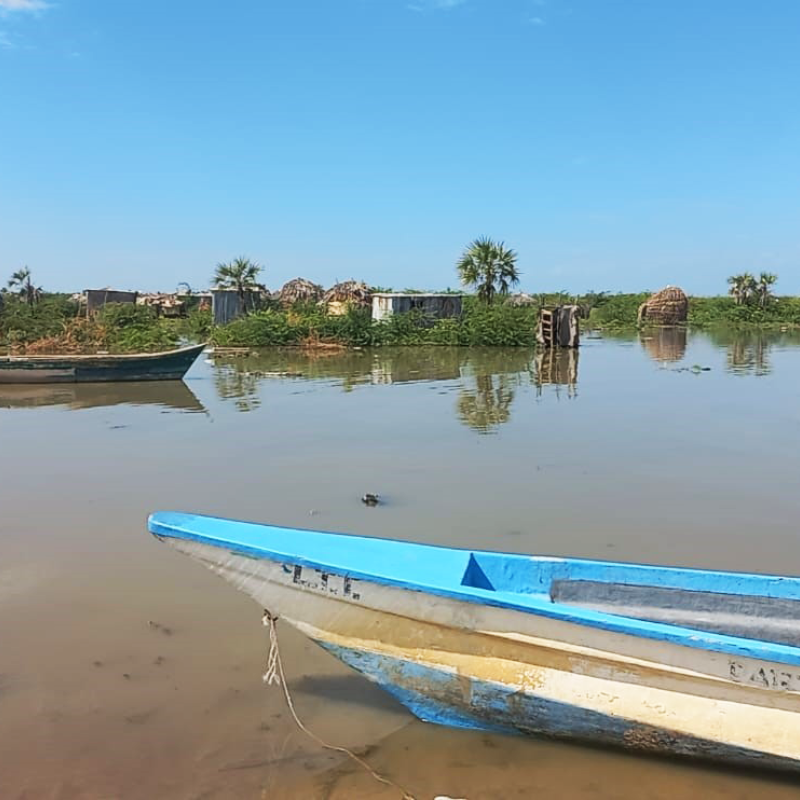 A flooded landscape