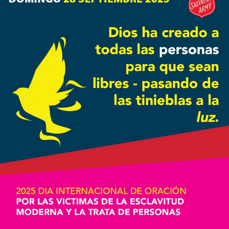 Luz a Vida
