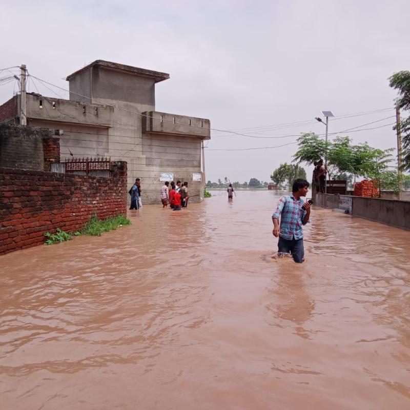 People wade through flood waters