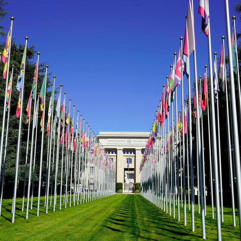 Image of Palais des Nations
